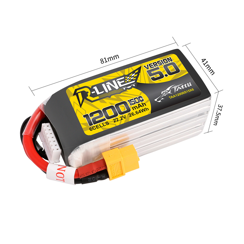 TATTU R-LINE 5.0 RC 헬리콥터 Quadc - Rc Hobby Line 리뷰 및 가격